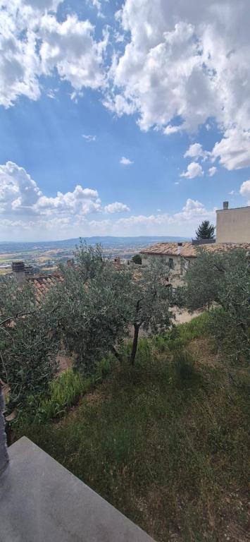 a view of an orchard with an apple tree on a hill at Dimora del Cammino di Cancellara in Foligno