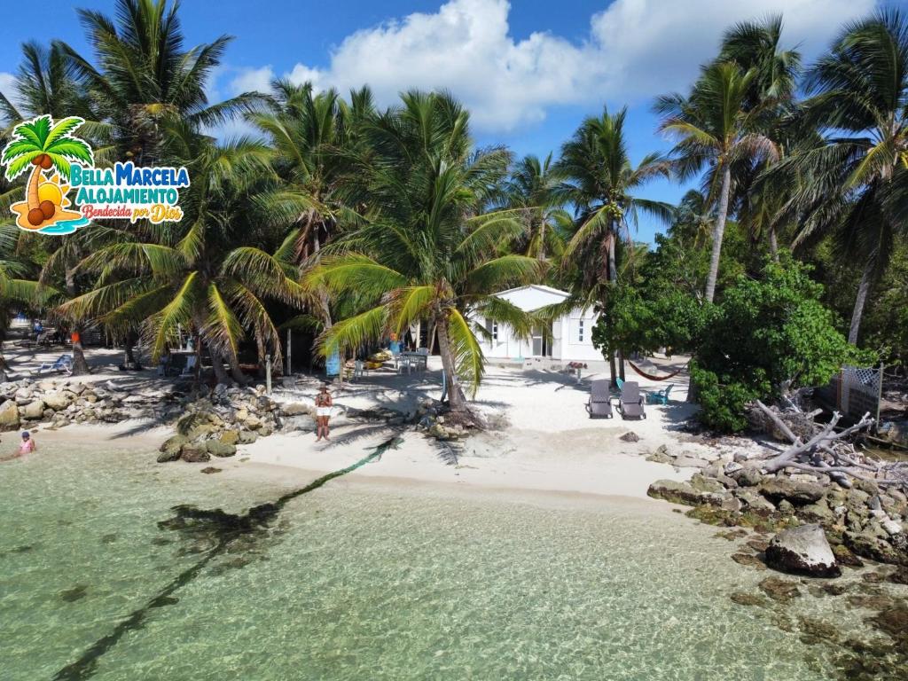 an aerial view of a beach with palm trees at Bella Marcela in Buenavista