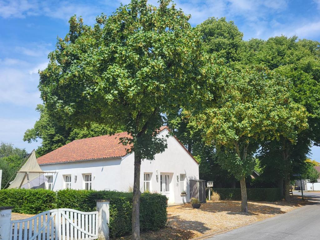a white house with a tree in front of it at Ferienhaus an der Allee in Kalkar