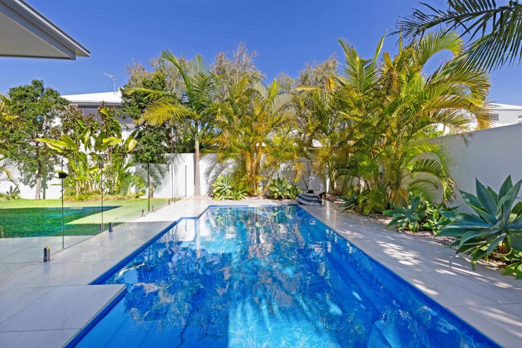 a swimming pool in a backyard with palm trees at The Art House at Beachside in Yaroomba