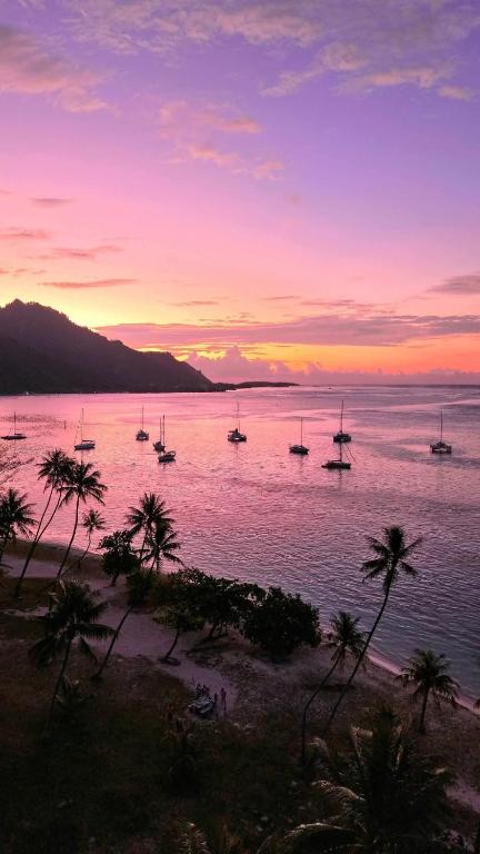 Tropical Retreat & Spa near Taahiamanu Beach - hébergement à Moorea