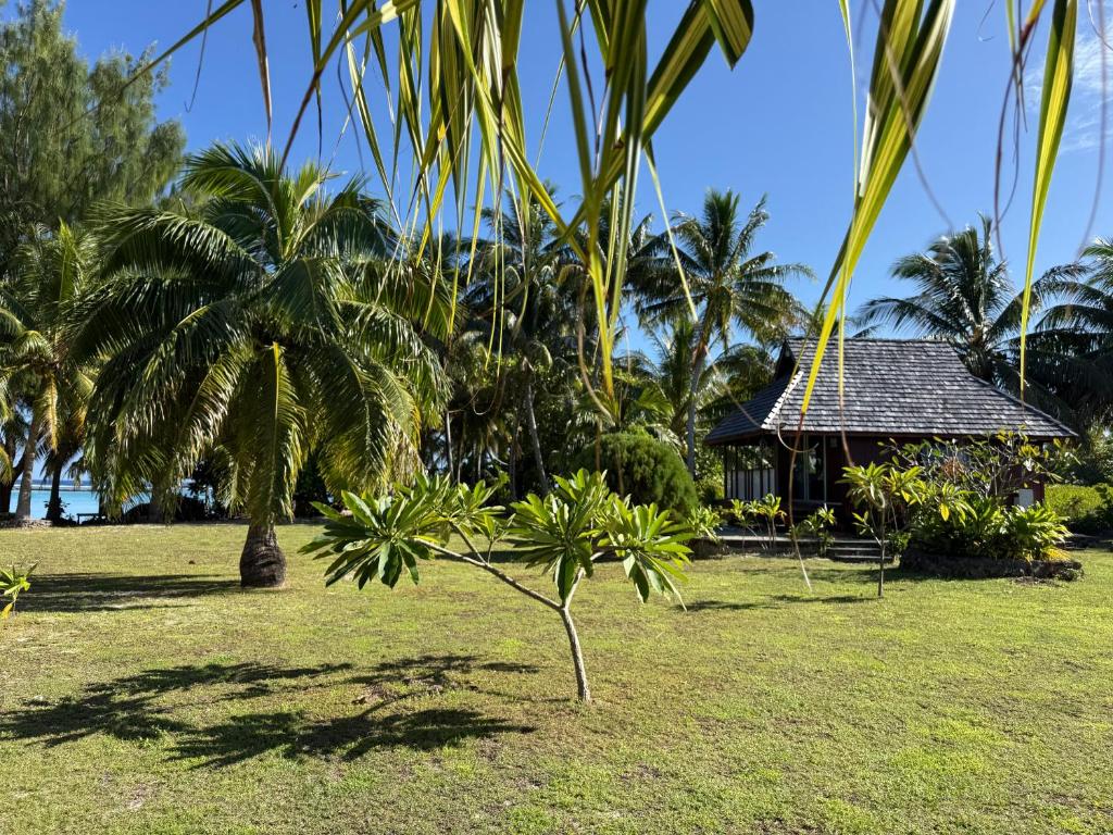 maupiti farepaeao - photo 9 - Maupiti, Polynésie