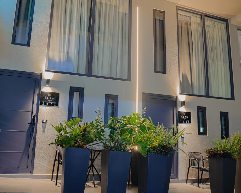 Elan Loft