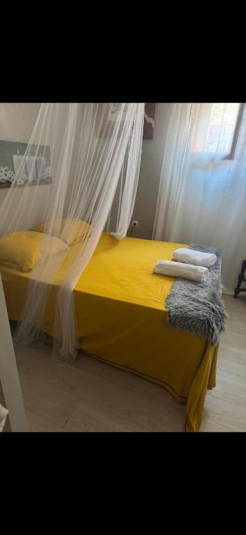studio 50 m des plages