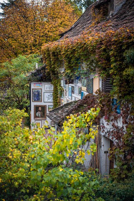 an old house with ivy growing on the side of it at Apartment Das Goldgassl in Appiano sulla Strada del Vino