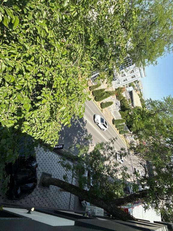 لابی و فضای عمومی Royal Pavilion - تصویر ۵