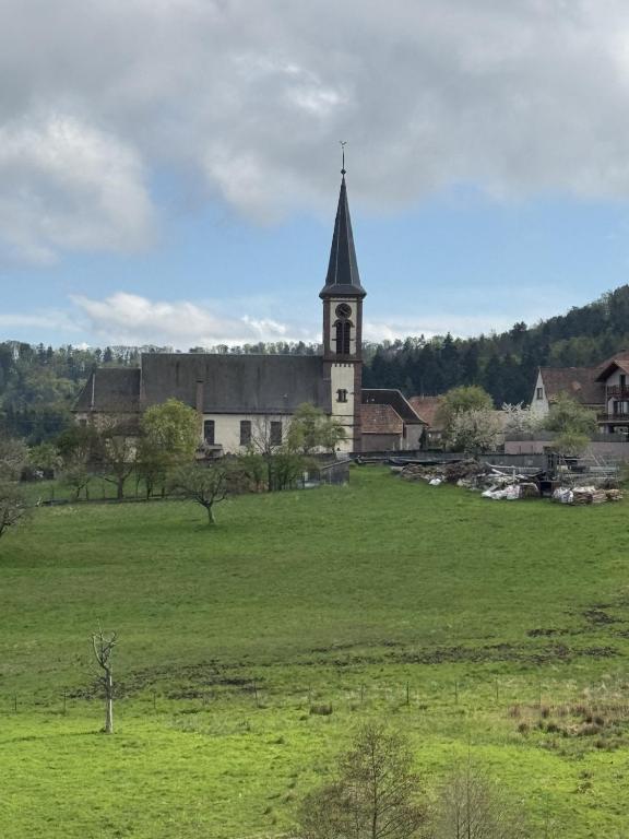 Gîte au Manoir des Sens - Panorama Taennchel aux portes du Haut-Koenigsbourg – photo 35