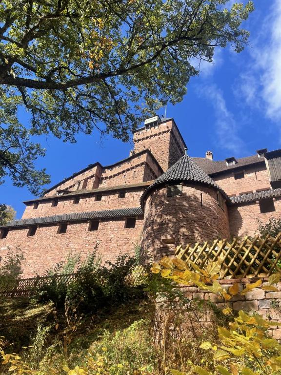 Le Manoir des Sens - Forêt de Bergheim – photo 53