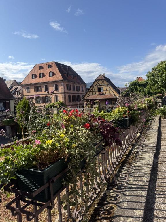 Le Manoir des Sens - Forêt de Bergheim – photo 39