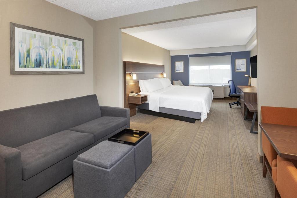Holiday Inn Express & Suites Riverhead - Long Island by IHG - Suite King Con Sofá Cama