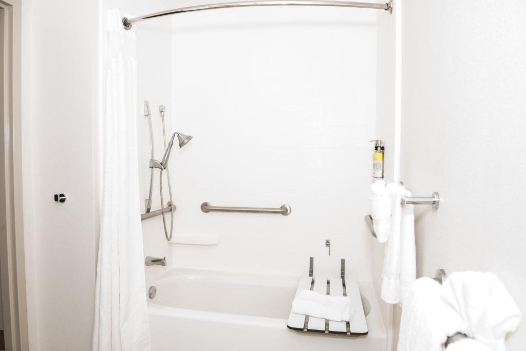 Holiday Inn Express Hotel & Suites Tampa-USF-Busch Gardens, an IHG Hotel - 