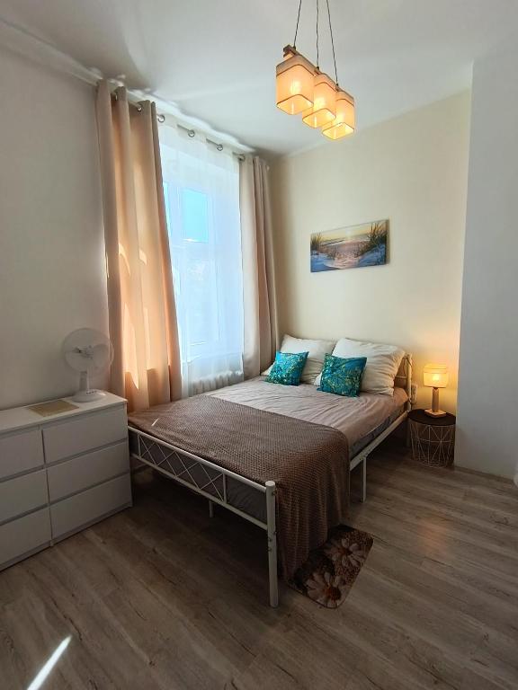 a bedroom with a bed with blue pillows and a window at Magnolia Home Rooms in Toruń