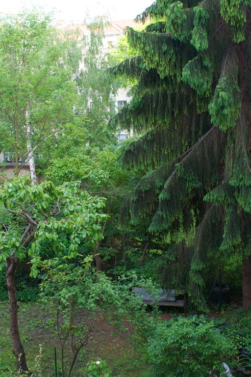 Aed väljaspool majutusasutust Wohnzimmer