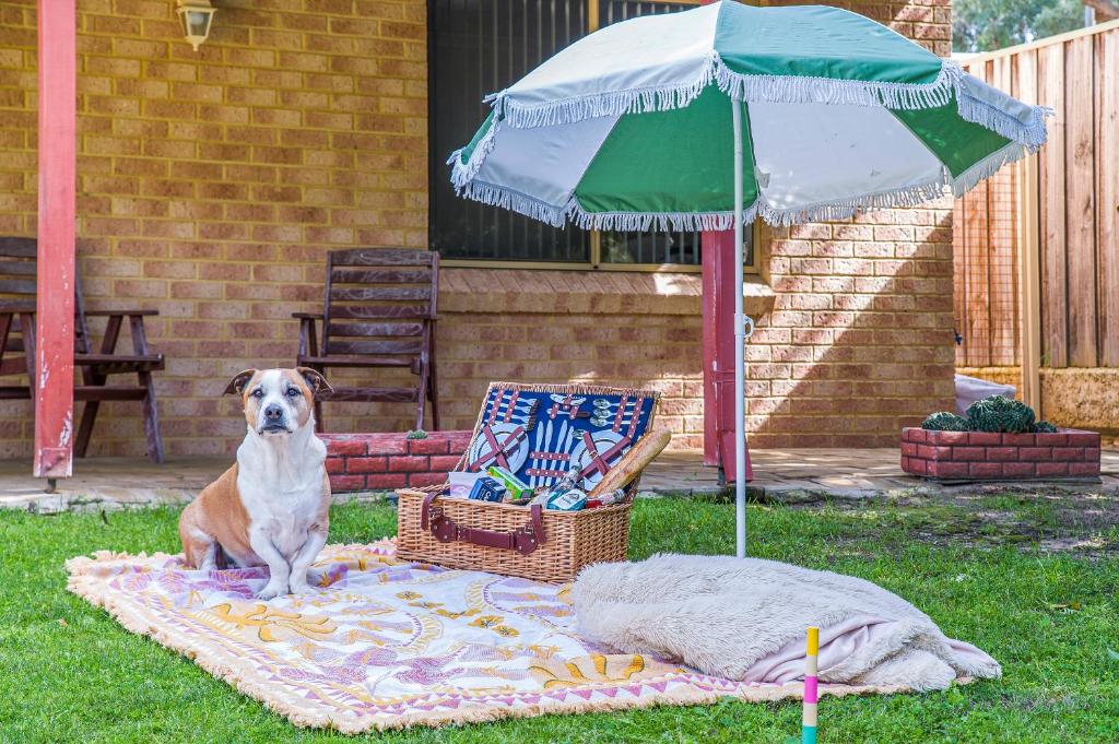 a dog sitting on a blanket under an umbrella at Waves And Moore - Beautifully presented home in Guilderton
