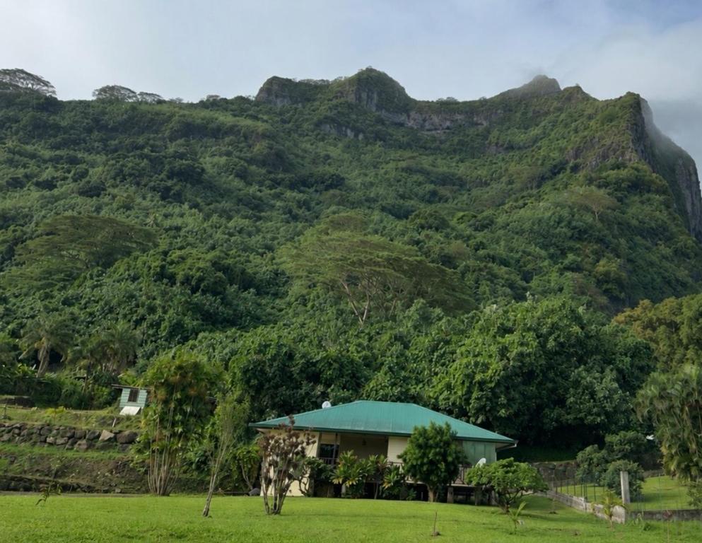 Vaitape Heights - photo 9 - Bora Bora, Polynésie