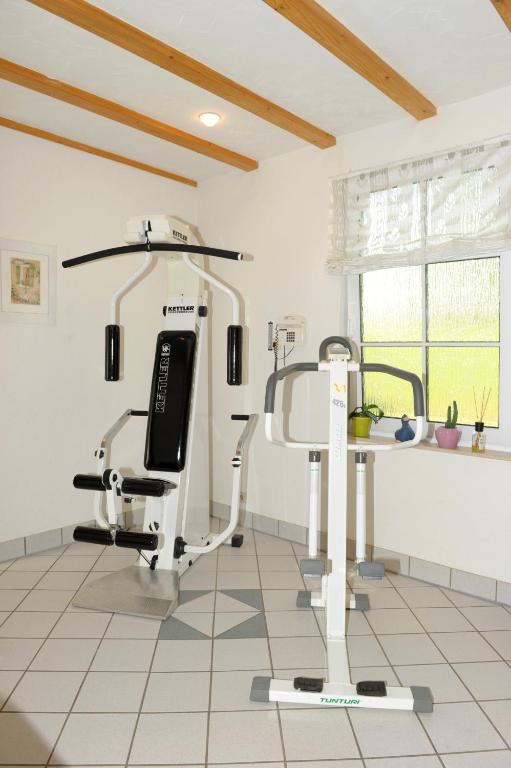 Fitness centrum a/nebo fitness zařízení v ubytování Hotel Sarbacher