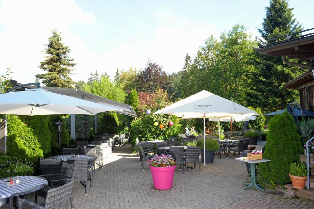 Zahrada ubytování Hotel Sarbacher