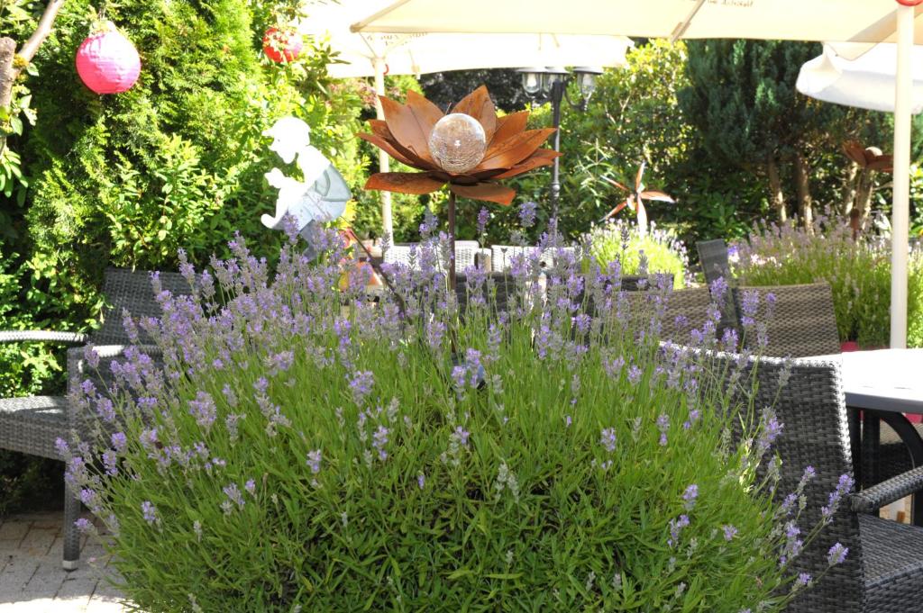 Zahrada ubytování Hotel Sarbacher