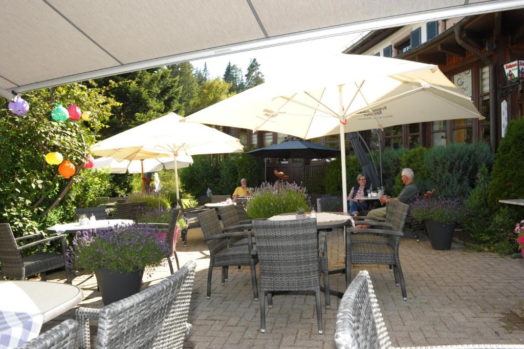 Zahrada ubytování Hotel Sarbacher