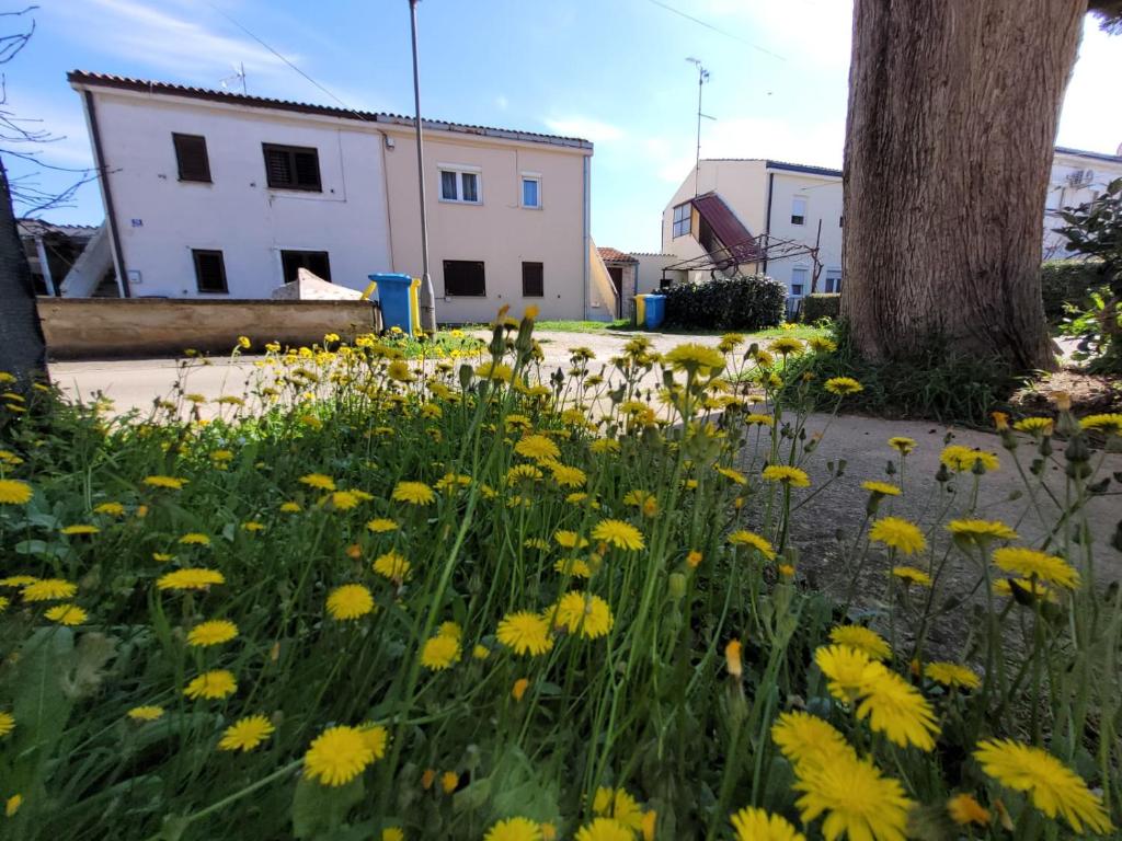 Apartment Fazana Istrien