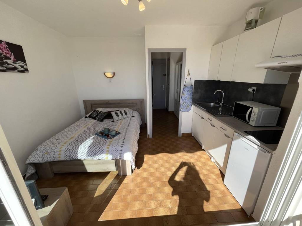 Appt Studio CAP D'AGDE NATURISME CN060-L02