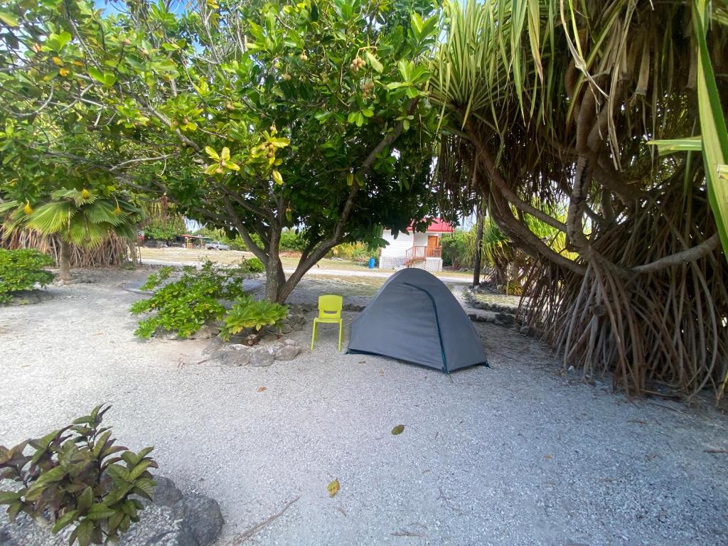 Fare Pū Tea, Rotoava - photo 12 - Fakarava, Polynésie