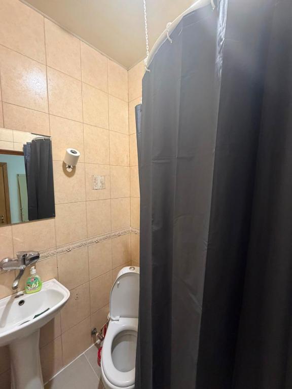 امکانات Opera home - تصویر ۴