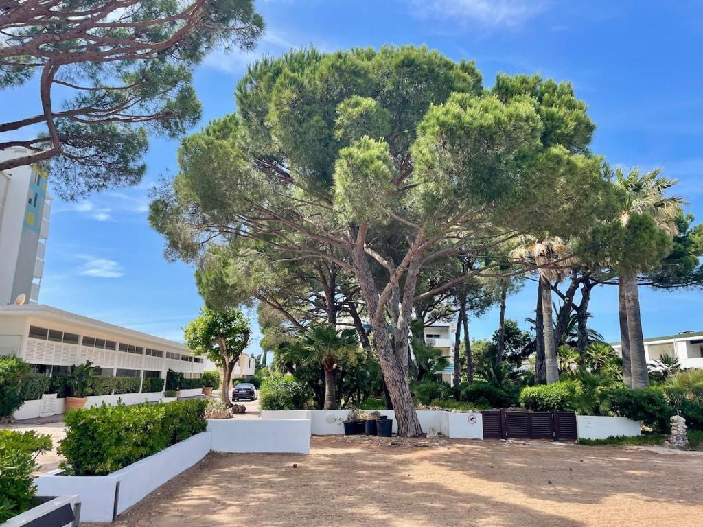 Studio climatisé en bord de mer et Plage privée