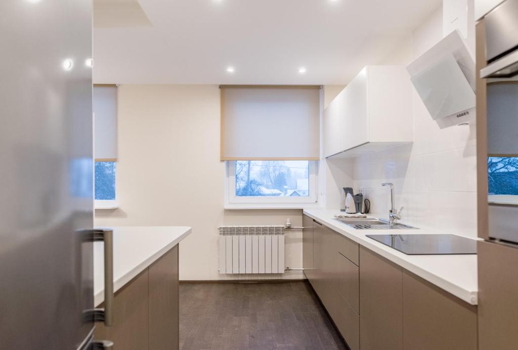 Kuchyň nebo kuchyňský kout v ubytování Marja Apartment