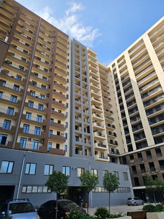 لابی و فضای عمومی Calm & Cozy 1-BR in Saburtalo - City Center - تصویر ۵