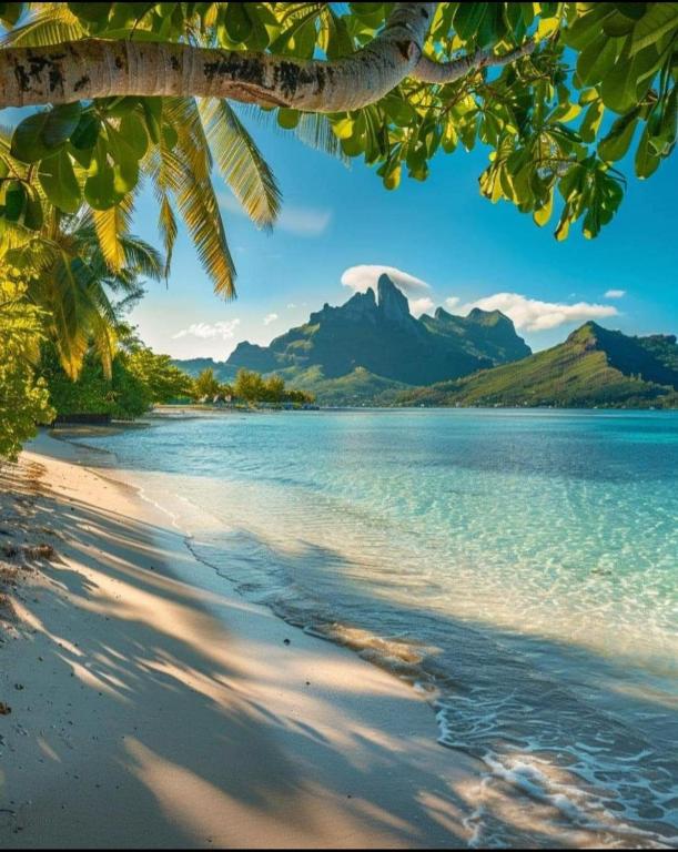 Raihei Auberge de jeunesse Chez l'habitant à Bora Bora, Bora Bora - photo 8 - Bora Bora, Polynésie