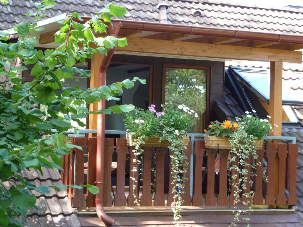 a wooden deck with two potted plants on it at Haus Schwalbennest in Undeloh