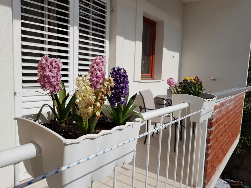 a row of potted plants on a balcony at Apartment Vice mali in Split