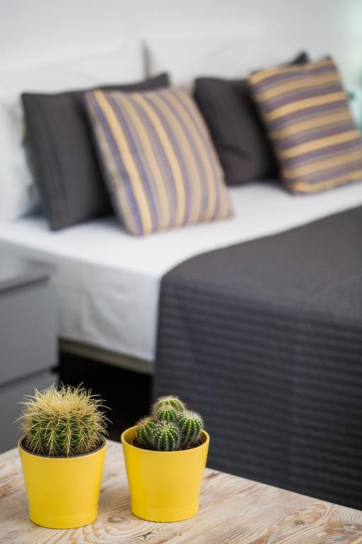 Olive Mykonos Villas - 9