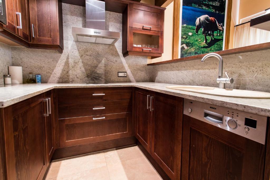 Una cocina o zona de cocina en Apartaments Gran Vall