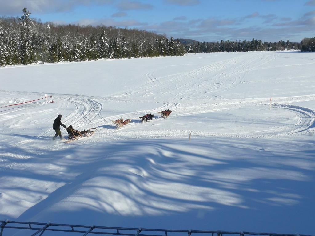 a man is pulling a group of dogs in the snow at Auberge du Lac Morency in Saint-Hippolyte