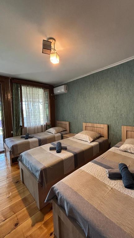 Guesthouse Dadia - Camera Tripla