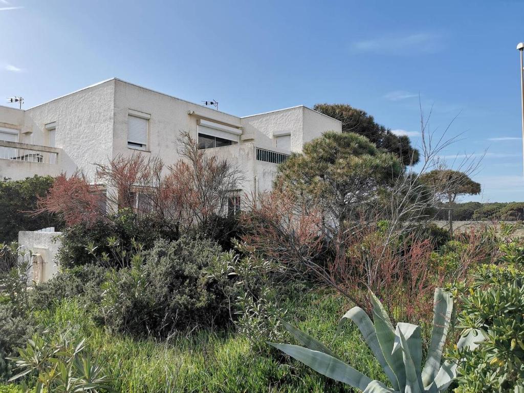 Résidence El Yucca - Appartement 4 pièces - 8 couchages - LE BARCARES MAE-9383