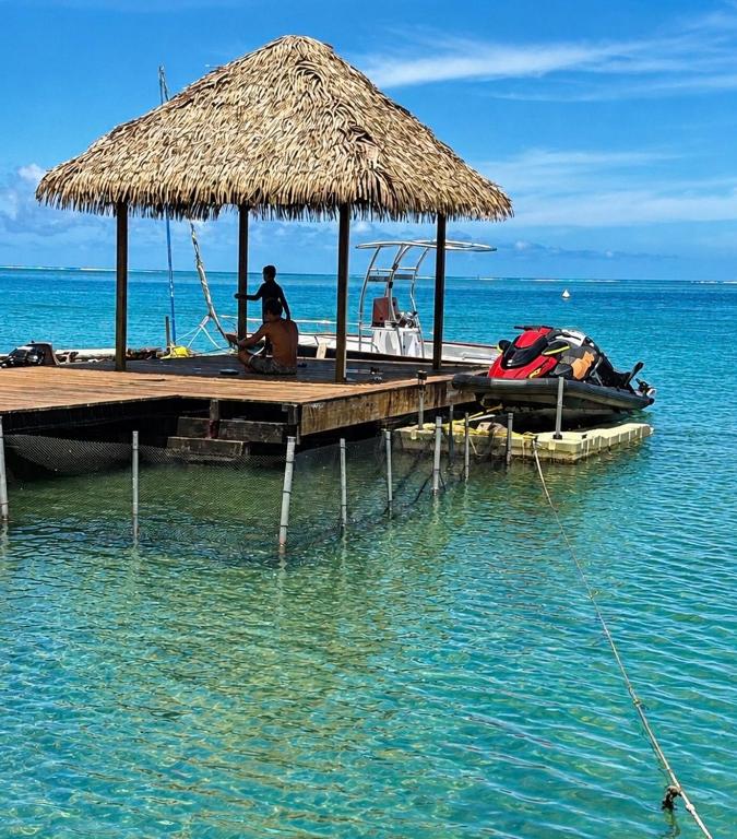 Havae stay Teahupoo - photo 7 - Tahiti, Polynésie