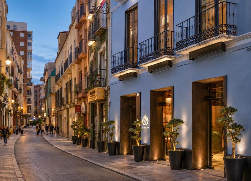 Coeo Despertar Rooftop Terrace Exclusive Apartments