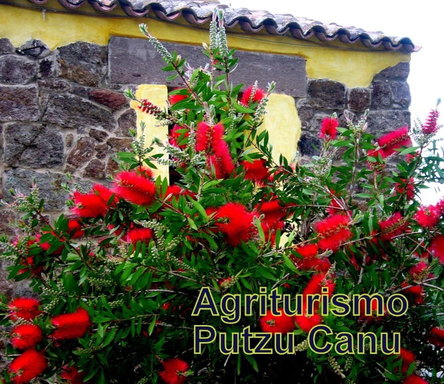 Fotografie z fotogalerie ubytování Agriturismo nuraghe Putzu Canu v destinaci Perfugas