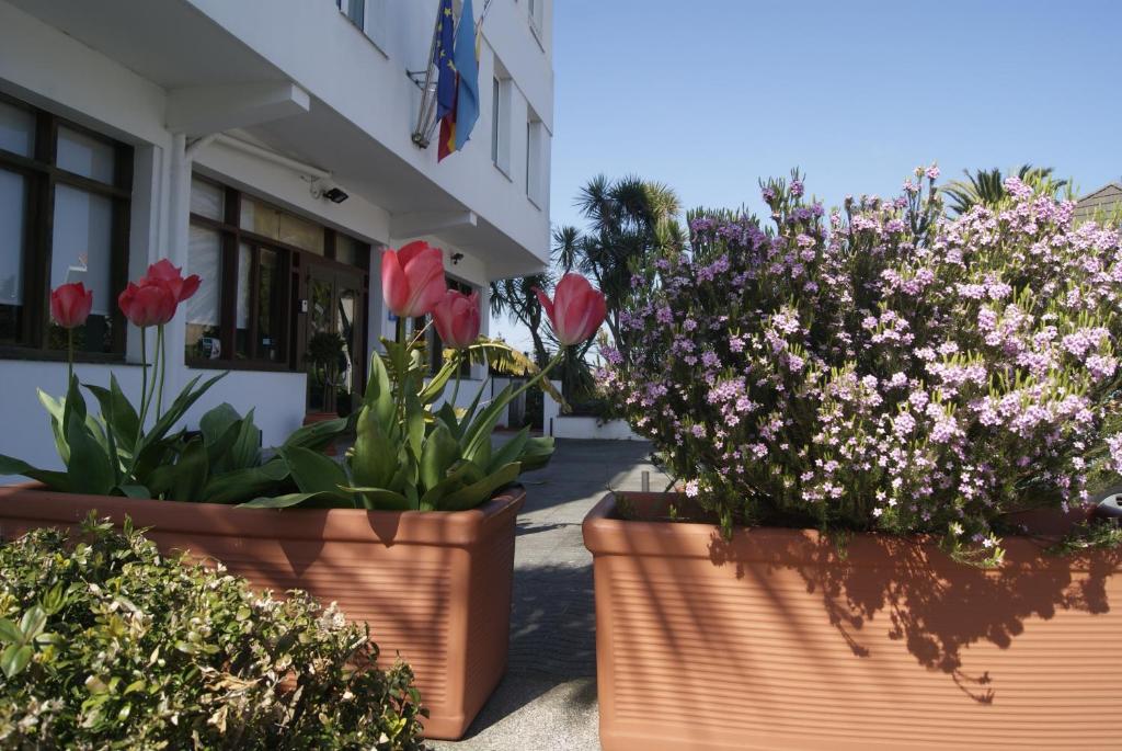 Zahrada ubytování Hotel Los Laureles
