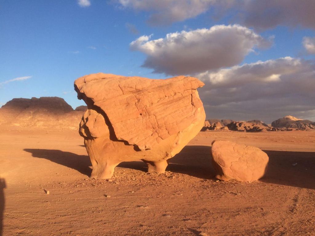 Wadi Rum Sky Tours & Camp - Quadruple Room