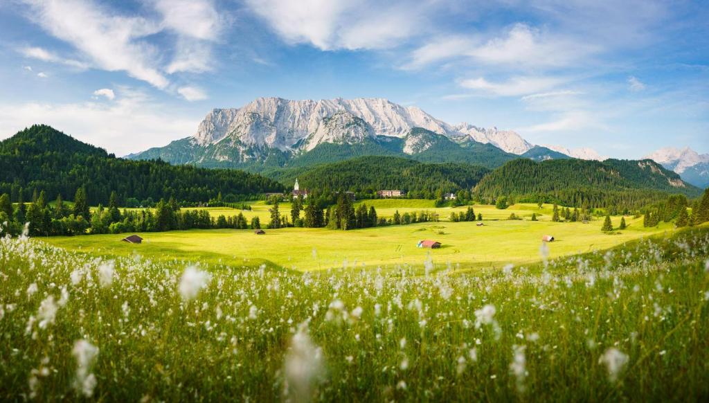 Schloss Elmau, Krün: Wiese und Bergkulisse aus der Galerie von Schloss Elmau