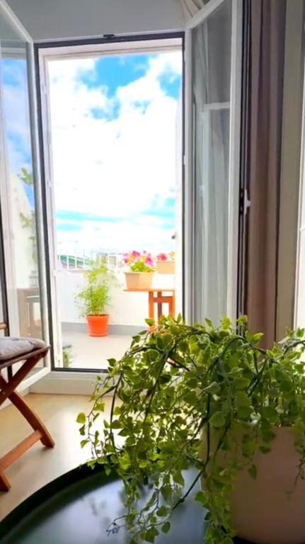 ULLOA Center Apartamento con Terraza privada