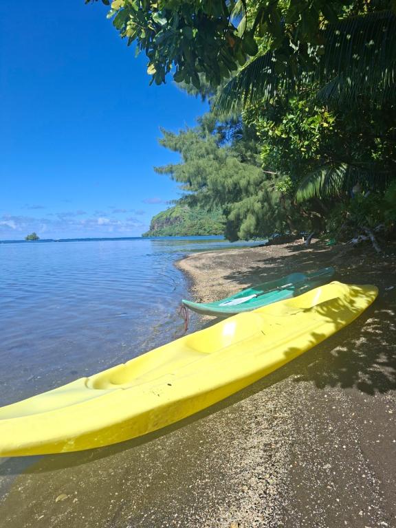 THE SECRET SPOT - Fenua Aihere - TAUTIRA - photo 3 - Tahiti, Polynésie