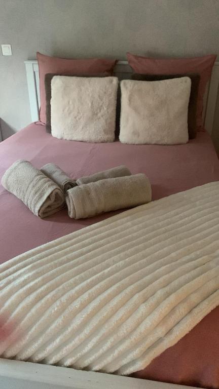 Duplex 5 Voyageurs proche promenade des anglais