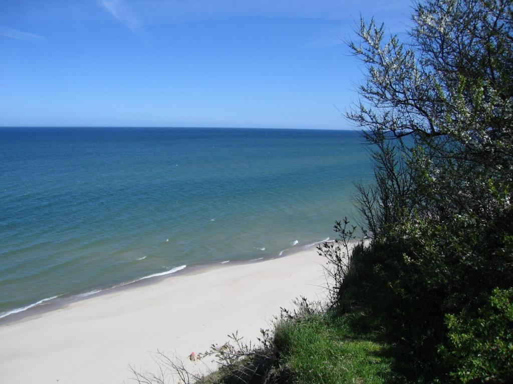 Róża Wiatrów - 18