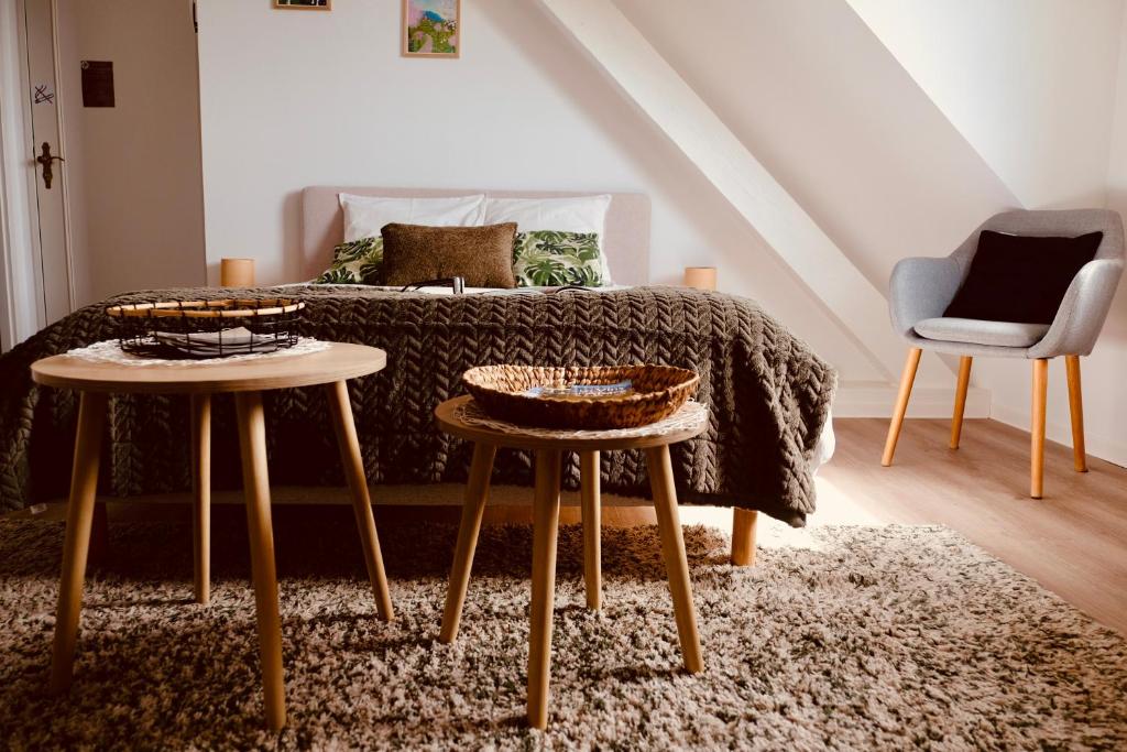 Gite Les deux belettes - Appartements meublés à Riquewihr - Vue vignoble – photo 12