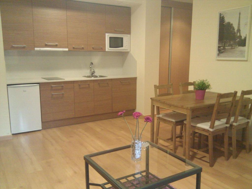 Kuchyň nebo kuchyňský kout v ubytování Apartamentos Argualas
